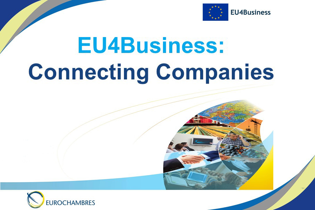 Онлайн-презентация проекта ЕВРОПАЛАТЫ EU4Business: Connecting Companies