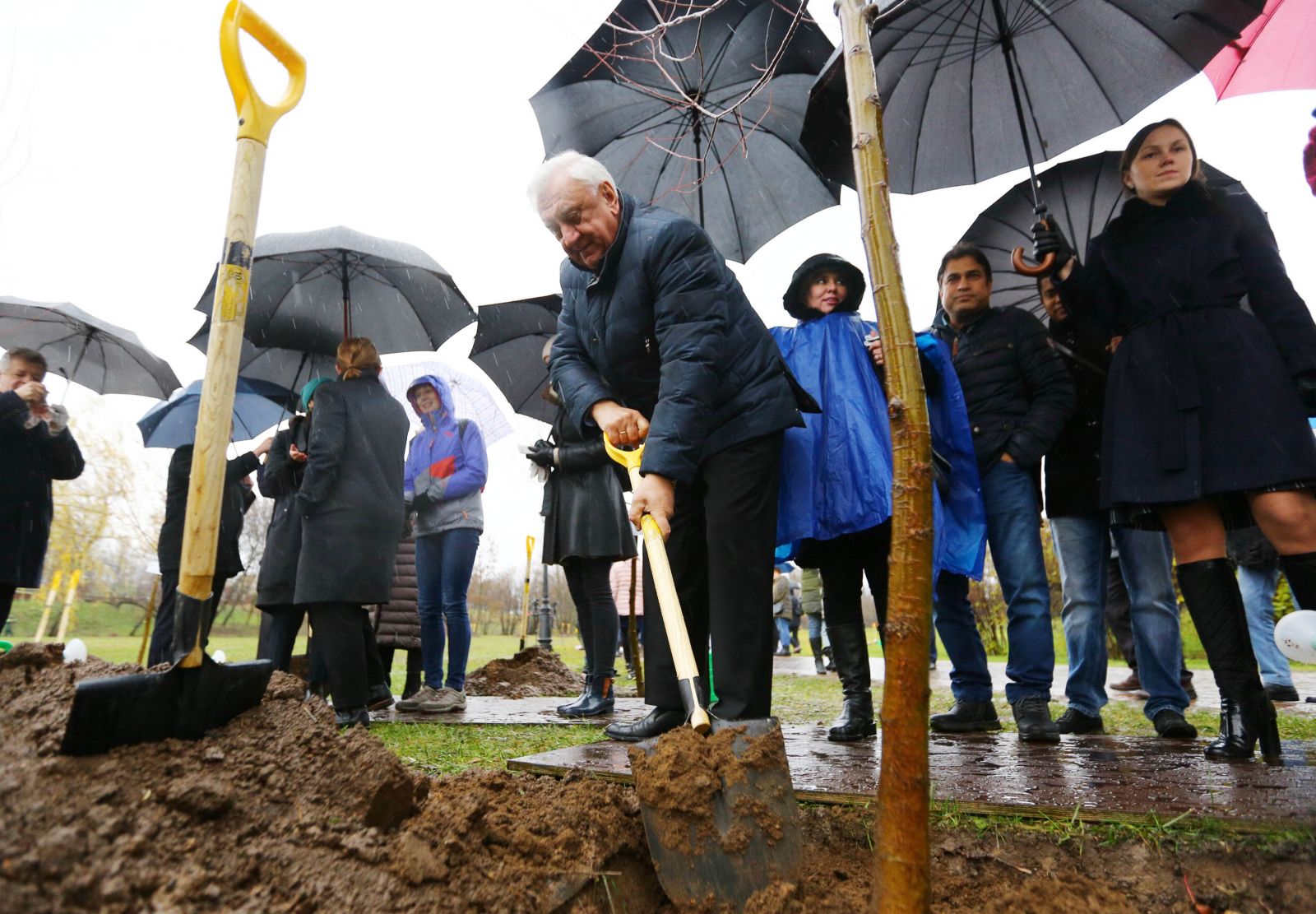 BelCCI Chairman Vladimir Ulakhovich takes part in the tree-planting ceremony to mark the 150th anniversary of Mahatma Gandhi