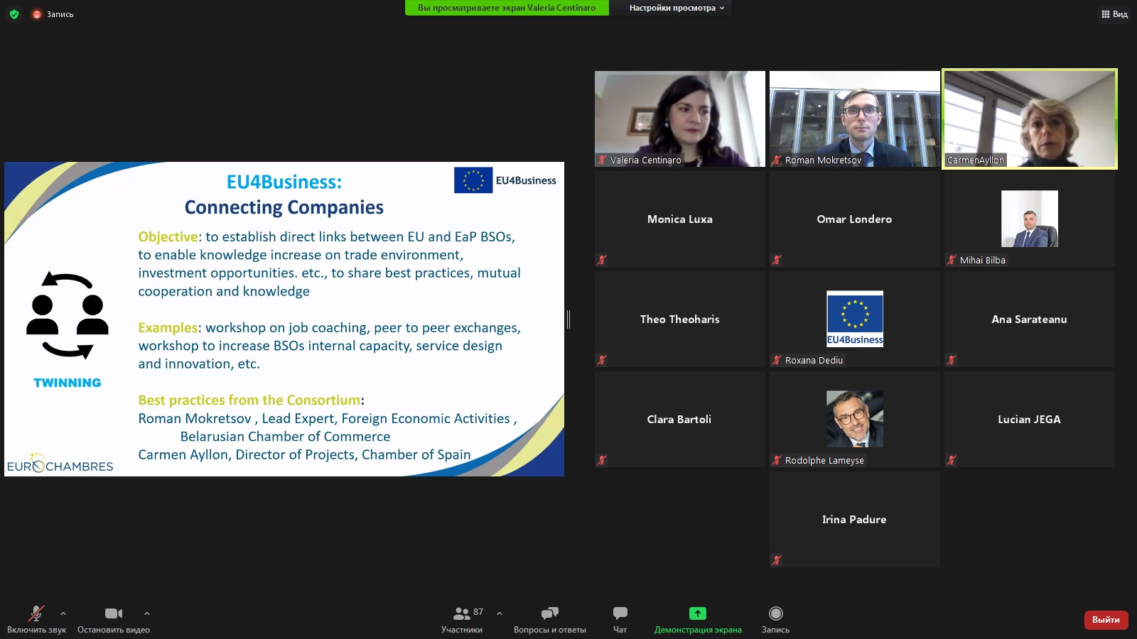 Видеоконференции в рамках проекта ЕВРОПАЛАТЫ EU4Business: Connecting Companies