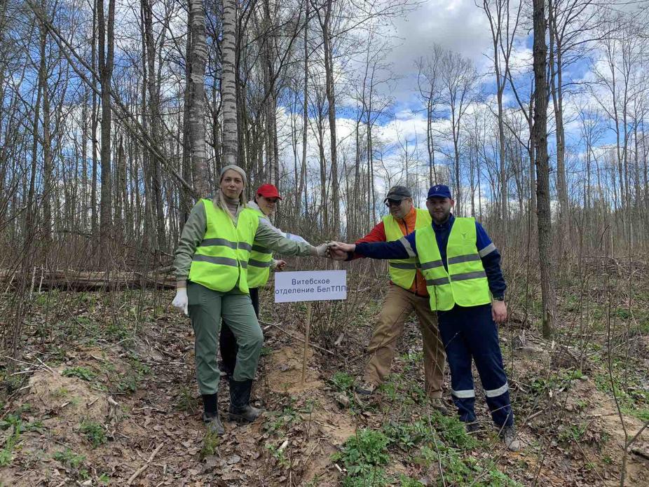 Vitebsk Branch Of The Belarusian Chamber Of Commerce And Industry Took Part In The "Forest Week" Campaign Vitebsk Branch Of The Belarusian Chamber Of Commerce And Industry Took Part In The "Forest Week" Campaign