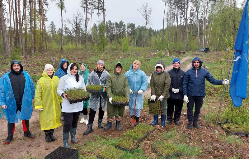 Let’s renew the forest together! Let’s renew the forest together!