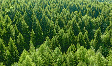 Развитие ESG-законодательства в ЕС: состояние, перспективы, ответственность Развитие ESG-законодательства в ЕС: состояние, перспективы, ответственность