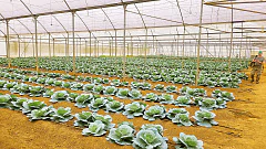 Все начинается с почвы Все начинается с почвы